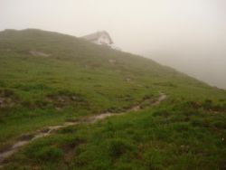 2013-06-01_Regina-F-Rau_Staffelalm_Hochwasser (147).JPG